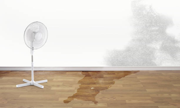 Fire Damage Restoration in Horseshoe Bend, AR